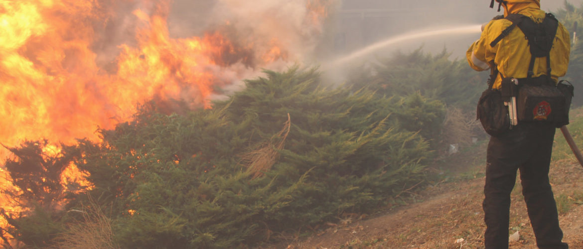 firefighter in uniform spraying a bush fire with a hose of water