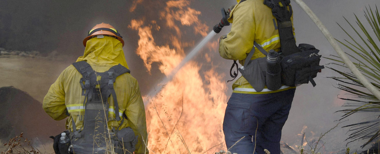firefighters in uniform spraying a bush fire with a hose of water