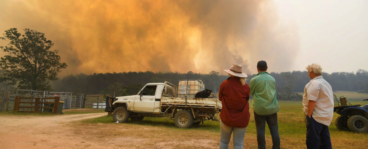 A group of three people shown from behind, standing by a truck and looking at smoke from a wildfire