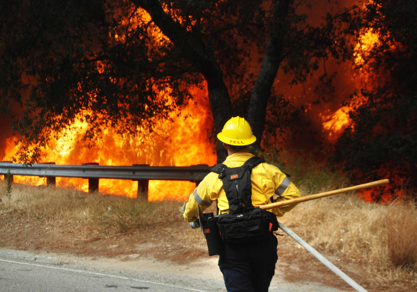 a firefighter runs towards a forest fire